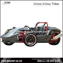 3 Wheel Car for Sale Drift Trike Japan Trike Motorcycle Ztr 250cc EEC